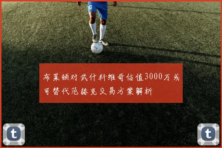 布莱顿对武什科维奇估值3000万或可替代范赫克交易方案解析
