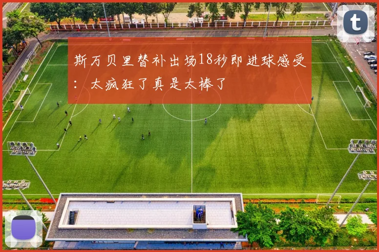 斯万贝里替补出场18秒即进球感受：太疯狂了真是太棒了